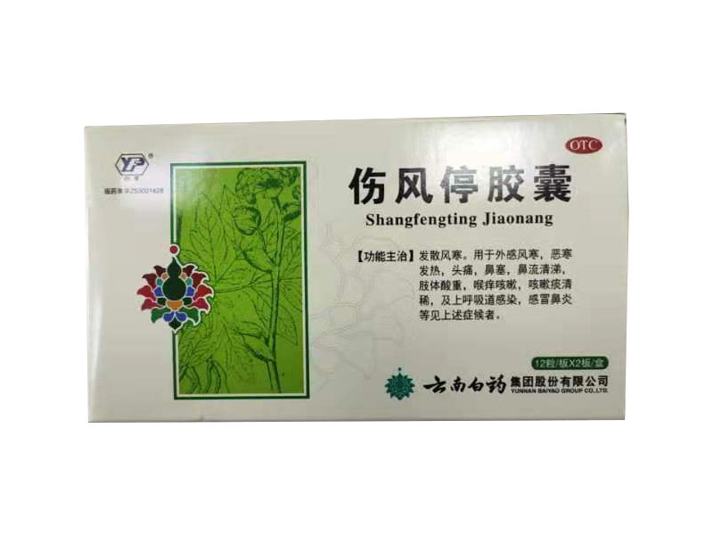 傷風(fēng)停膠囊